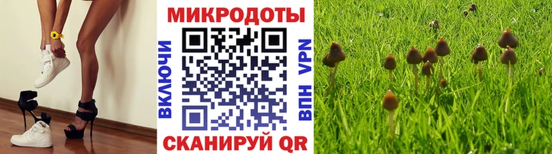 Псилоцибиновые грибы мицелий  Сосновоборск 